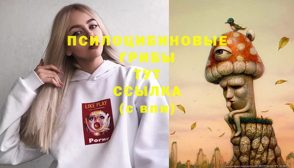 а пвп мука Абаза