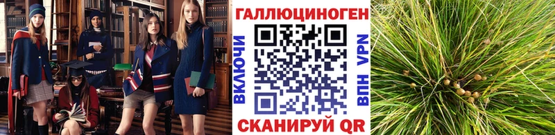 Псилоцибиновые грибы Cubensis  где купить наркотик  Павловский Посад 